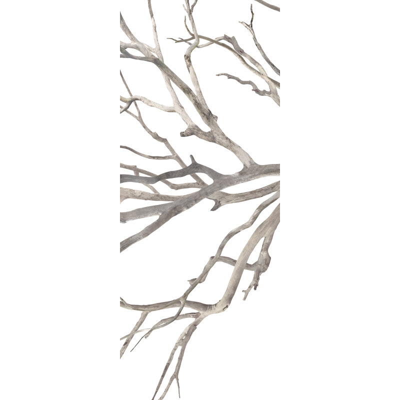 Enfolding Boughs II Print by David Brown, 100" H x 40" W x 1.5" D, Image Brush Gel