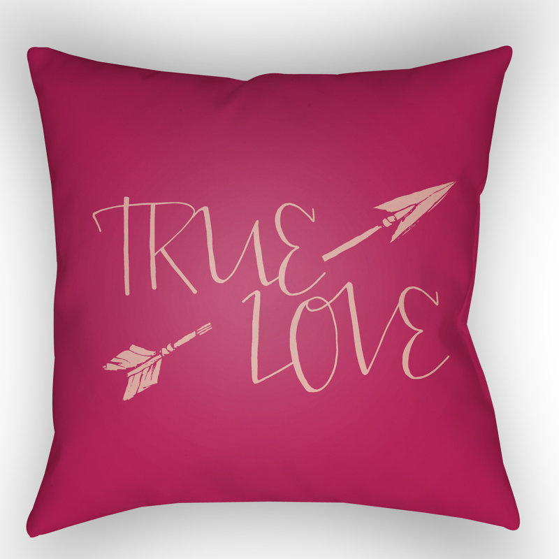  Indoor/Outdoor Throw Pillow, Pink, 20" H x 20" W x 4" D
