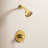 Align Shower Faucet-59698973