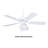 Bahija 42 " Ceiling Fan-22864473