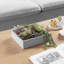 Plantes succulentes artificielles dans une usine de béton