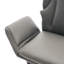 Chaise de bureau ergonomique à pieds croisés, similicuir adapté aux animaux de compagnie-1576369139