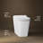 Leap Lite One-Piece Elongated Toilet, Dual-Flush