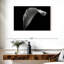 Lys Calla monochrome-810851423