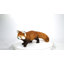 Panda roux marchant