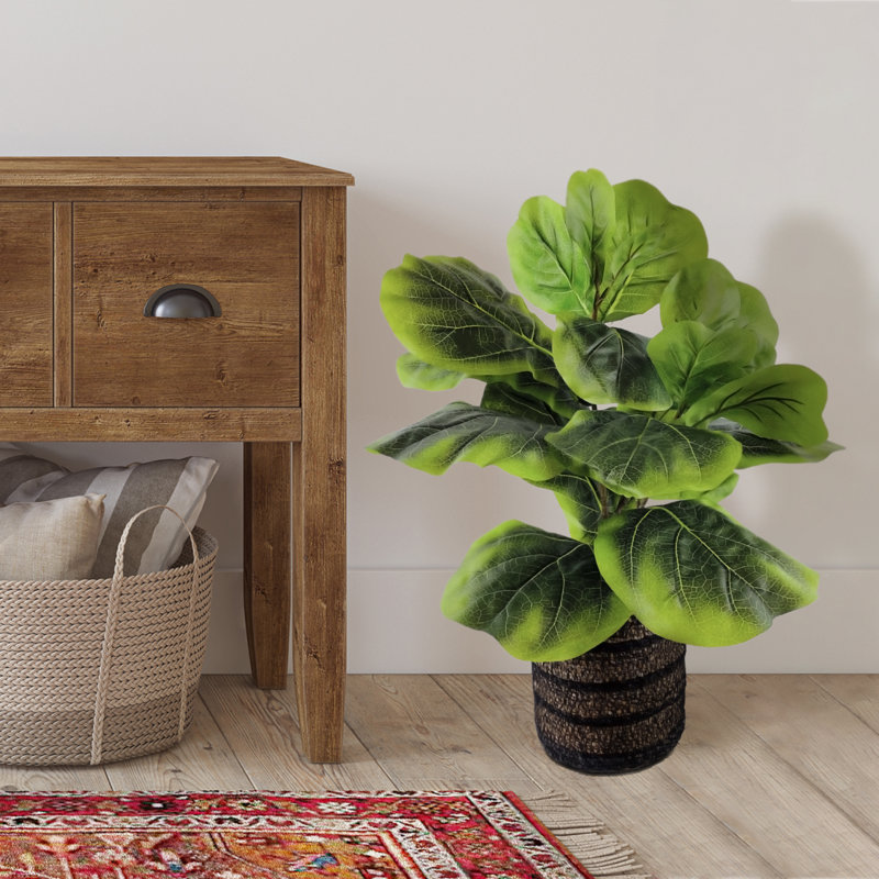24'' Faux Fiddle Leaf Fig Plant in Wicker/Rattan Basket
