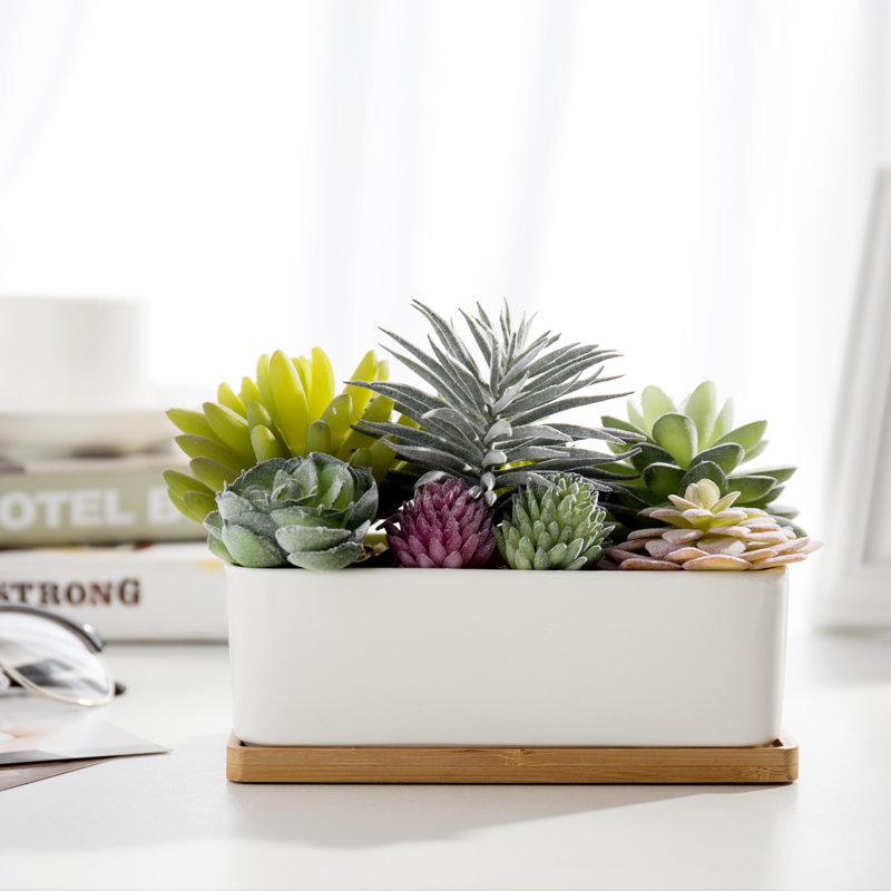 Ember 5.5'' Faux Succulent in Pot
