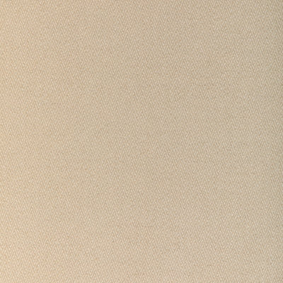 Beauvoir Texture