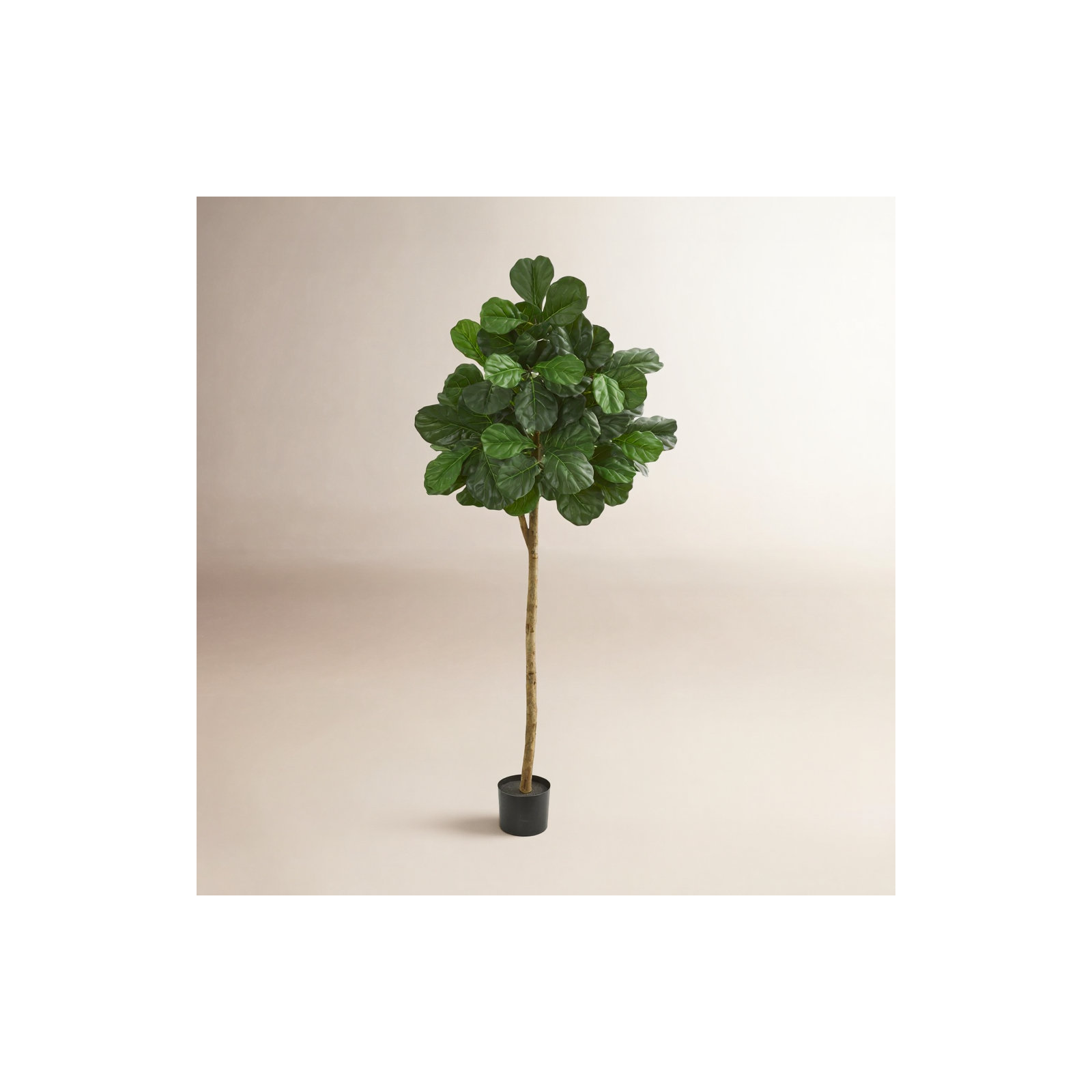 Faux Fiddle Leaf Fig Tree, 72" H x 33" W x 33" D