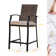 Capirano Outdoor 63.54cm Counter Stool with Cushion