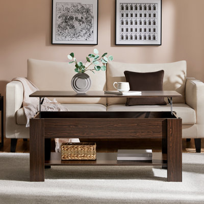 Ajeem Rectangular Lift Top Coffee Table with Storage