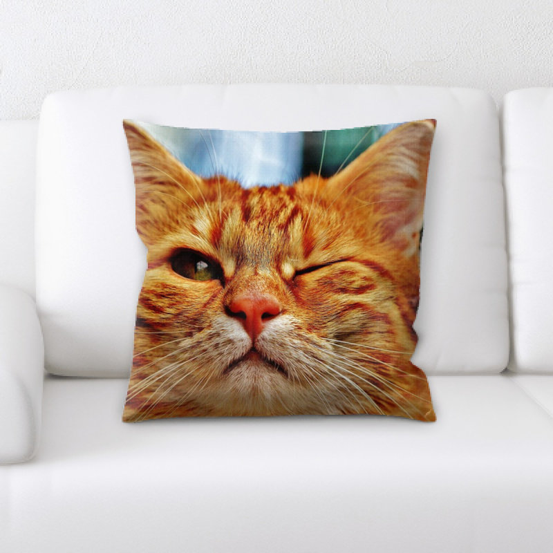 Coussin pour chat