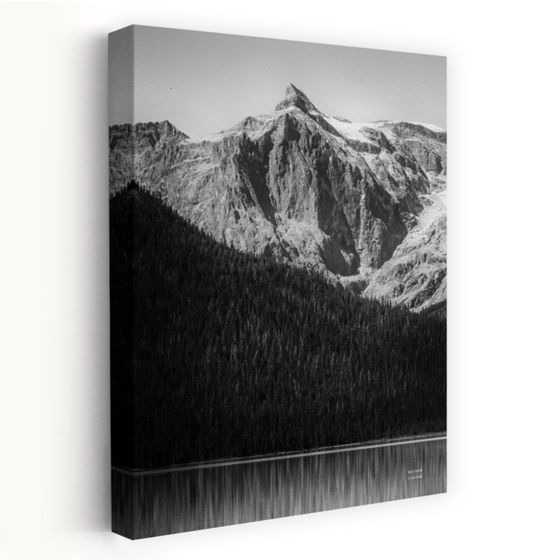Impression d'art mural abstrait contemporain en noir et blanc représentant un paysage forestier au lac Émeraud après-midi