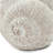 9.5X8.3X6" Decorative Sand And Cement Snail Planter With Textured Beige Finish