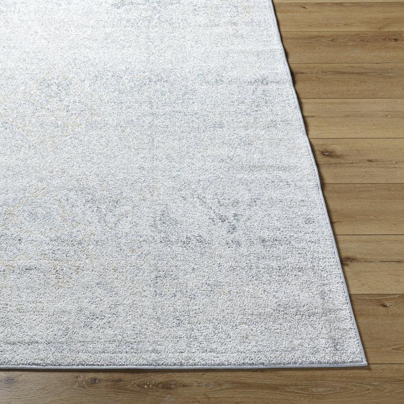 Reagyn Oriental Area Rug, Rectangle 60 x 90cm
