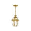 Lanterne suspendue d'extérieur 1 lumière H 10,75 po Alexavier-529880573