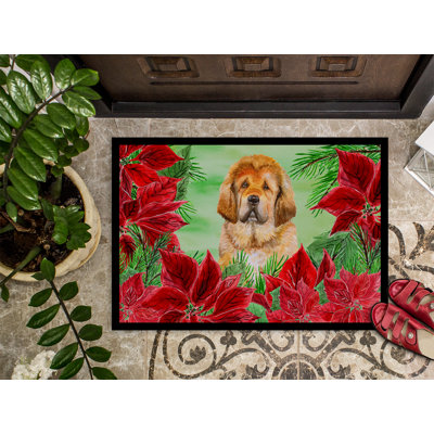 Tapis de porte d’extérieur anti-dérapant tibétain tririgide poinsettas Yokley