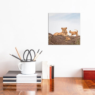 Colour Lioness & Cubs by Klaus Tiedge - Print on Canvas