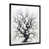 Black Picture Frame