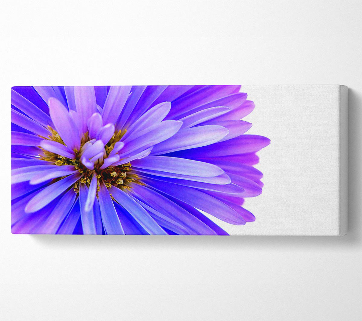 Ebern Designs Soft Purple Petals - Wrapped Canvas Art Prints | Wayfair ...