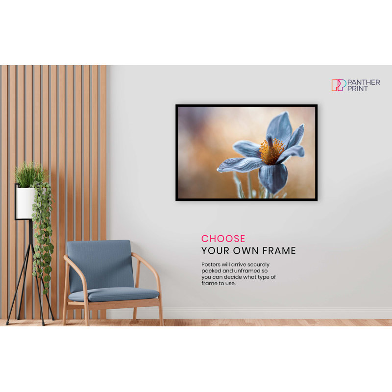 Pasque Flower In Blue - Wrapped Canvas Print, 31cm H x 20cm W x 0.5cm D, Paper