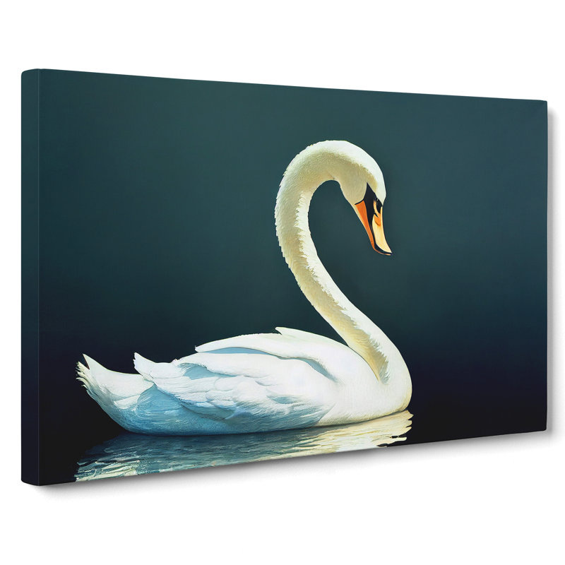 Striking Swan - Wrapped Canvas