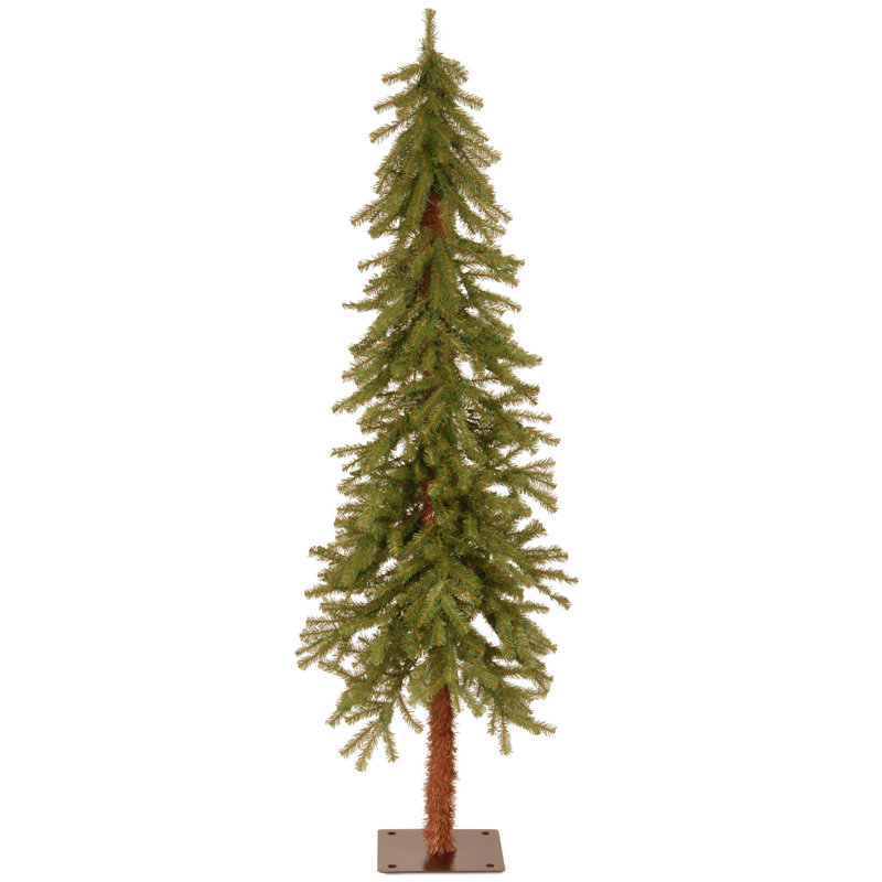 Hickory Cedar Tree, Not Pre-Lit, 5'