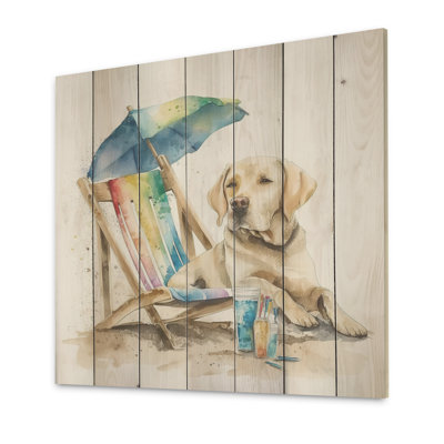 Wenona " Dog Laying On Chair At The Beach V "