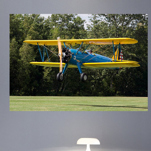 Non-Wall Damaging Wall Decal, 33.5" H x 48" W x 0.1" D