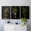Floral Study Series Lxxi - ensemble de toiles tendues avec châssis Premium-891302697