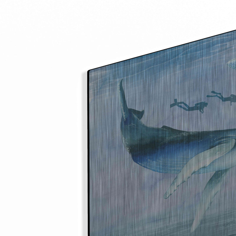 «Ocean Adventure Collection A» par Grace Popp, H 16 po x l 24 po