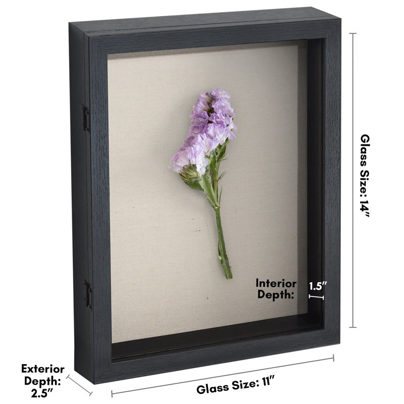 Merranda Front Loading Shadow Box Frame and Display Case for Keepsakes, Black, 11" W x 14" H