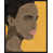 Image Brush Gel selected
