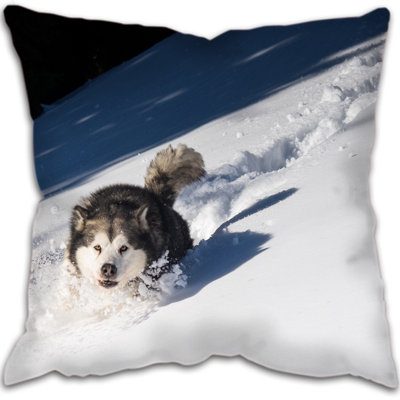 Alaska Square Throw Cushion