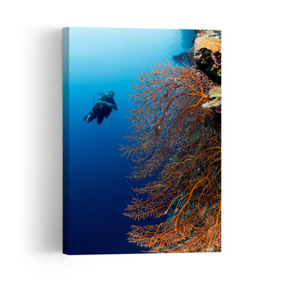 Scuba Diver