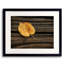 Single Yellow Birch Leaf Framed Print Canvas-65851609-132435408