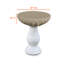 Bird Bath Cover-138144491