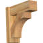 Sapin Douglas-113998552-109329452