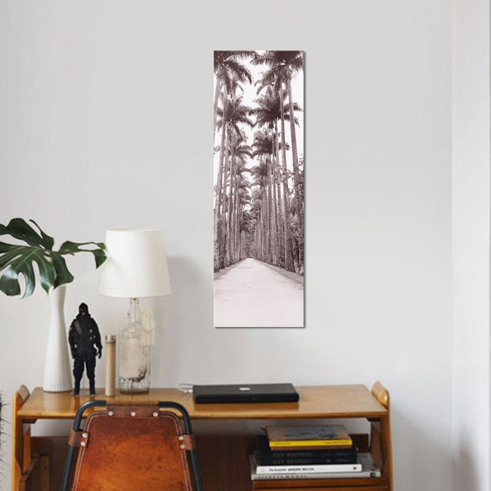 «Garden Path, Rio De Janeiro, Brésil», reproduction de photo sur toile, H 36 po x l 12 po x P 1,5 po, Toile avec cadre noir