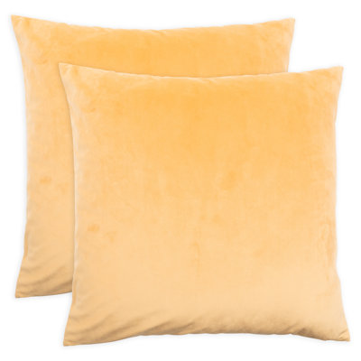 Housse de coussin en velours