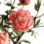 PEONY BRANCH 31 pouces-1808992882