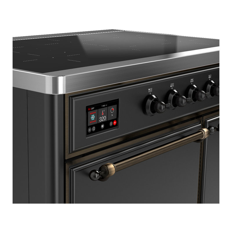 Cuisinière à induction 40 pouces avec 6 éléments à induction en graphite mat Majestic III Series (garniture brunie), Brunie