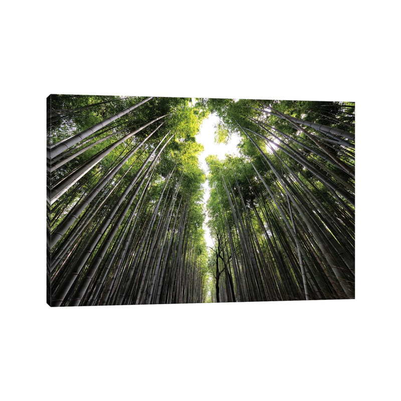 Sagano Bamboo Forest II 1 Piece Wrapped Canvas Wall Art, 101.6 cm H x 66.04 cm W x 3.175 cm D