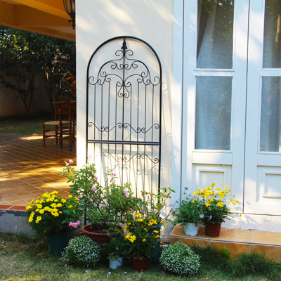 Bromell 70.8'' H x 25.6'' W Iron Lattice Panel Trellis