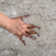 Kove Faux Sheepskin Indoor Rug