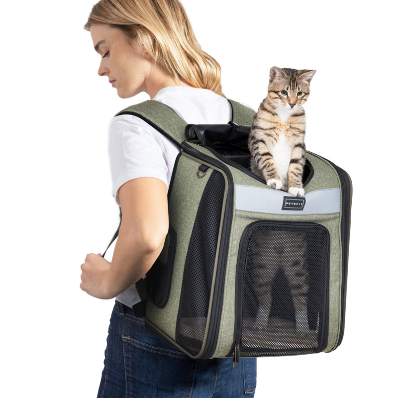 Collapsible Pet Carrier with 2 Doors, Green