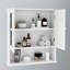 Armoire murale de salle de bain avec portes et tablettes à miroir Doule