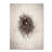 Nest I by Debra Van Swearingen - Photograph on Canvas-31454020