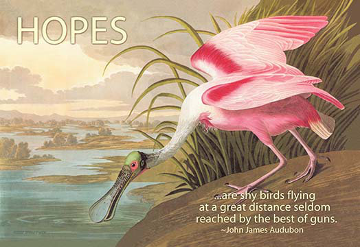 « espoir is timid oiseaux » par john james audubon, affiche rétro