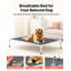 Lit surélevé pour grand chien avec lit surélevé portable TG Meslin